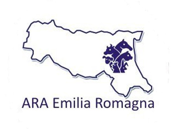 ARAER logo
