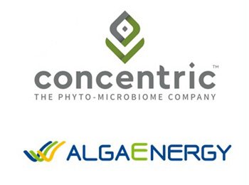 Concentric e Alcgaenergy