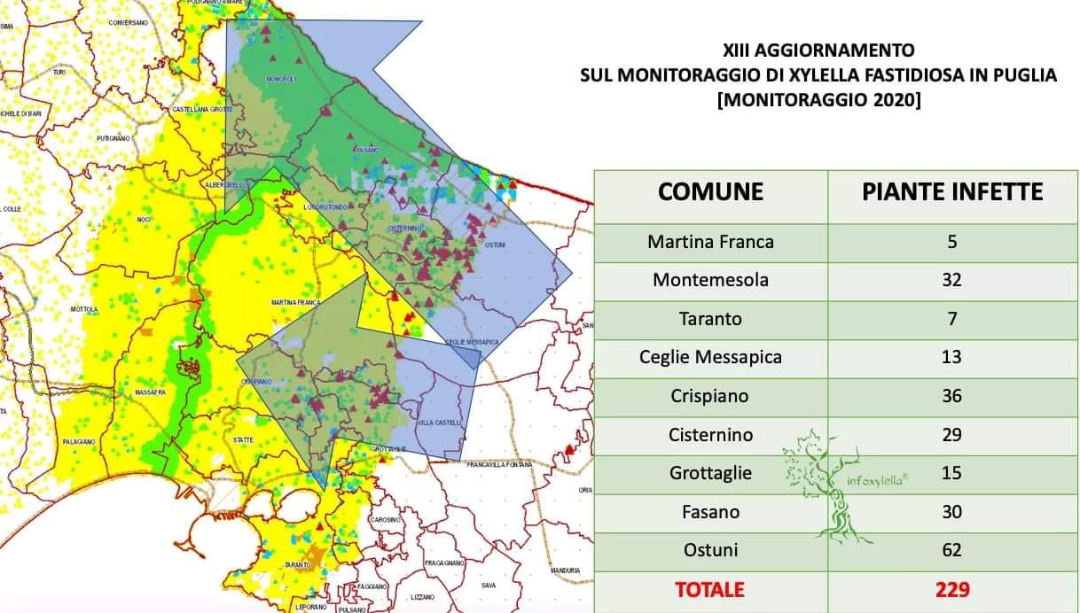 Mappa 13 aggiornamento InfoXylella IT