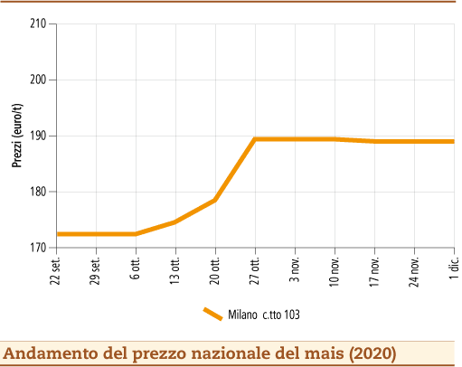 prezzi mais dicembre 2020 mercoledì 9