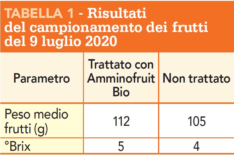 amminofruit bio tabella risultati