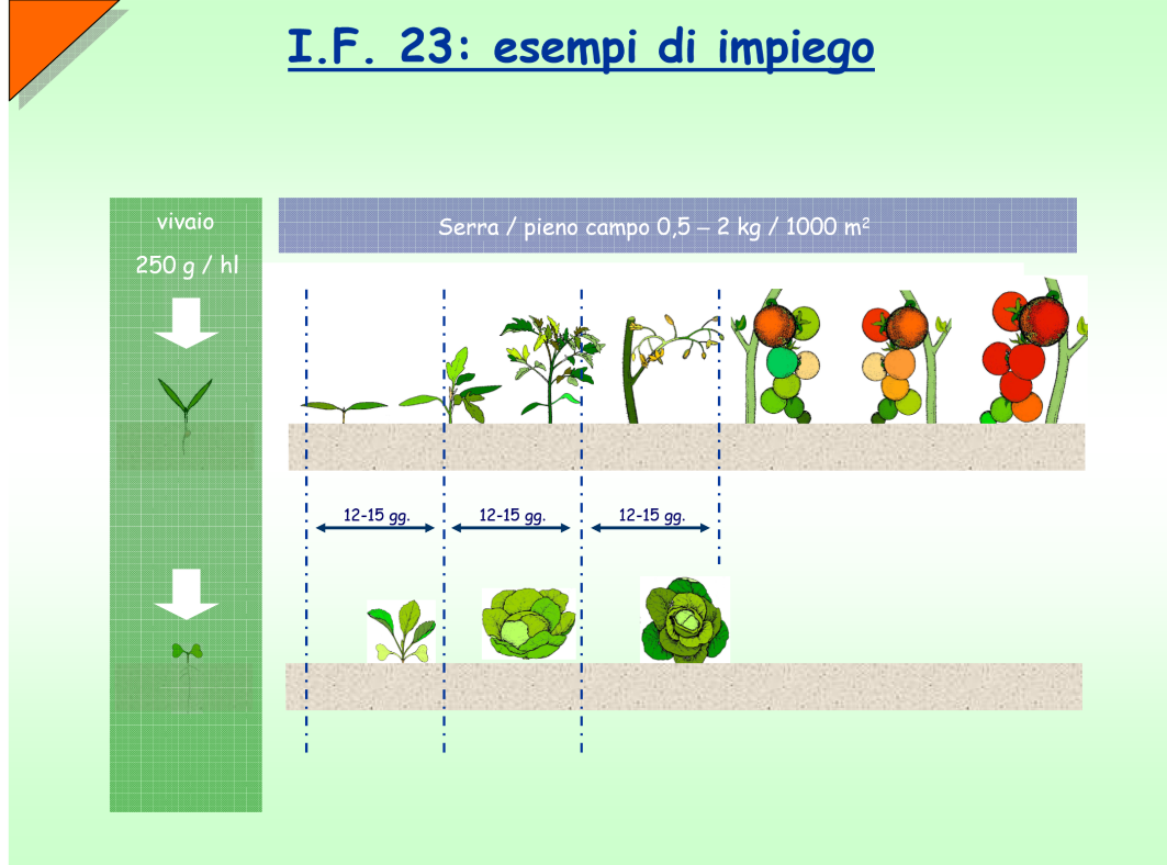 Xeda IF23 esempio di impiego