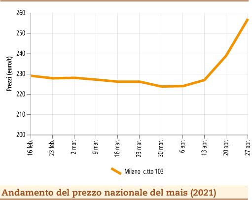 prezzi mais maggio 2021 martedì 4