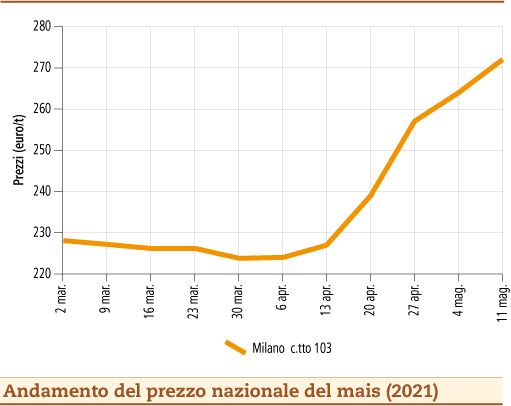 prezzi mais maggio 2021 lunedì 17