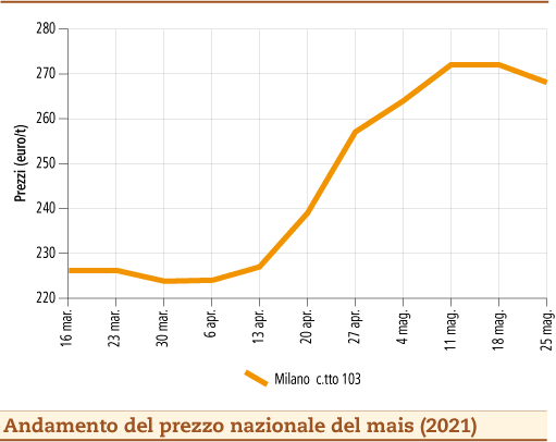 prezzi mais maggio 2021 lunedì 31