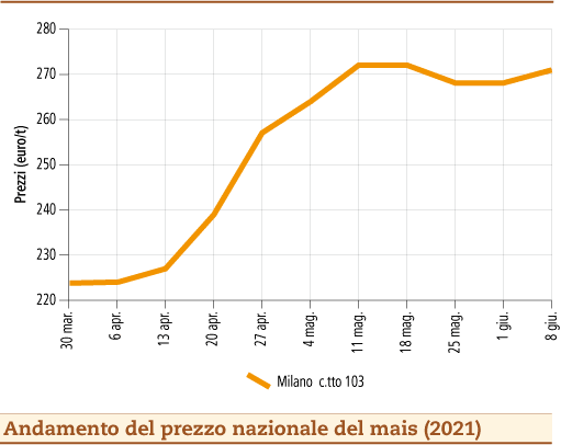 prezzi mais giugno 2021 lunedì 14