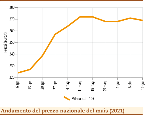 prezzi mais giugno 2021 lunedì 21