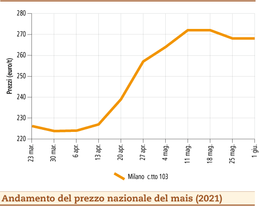 prezzi mais giugno 2021 lunedì 7