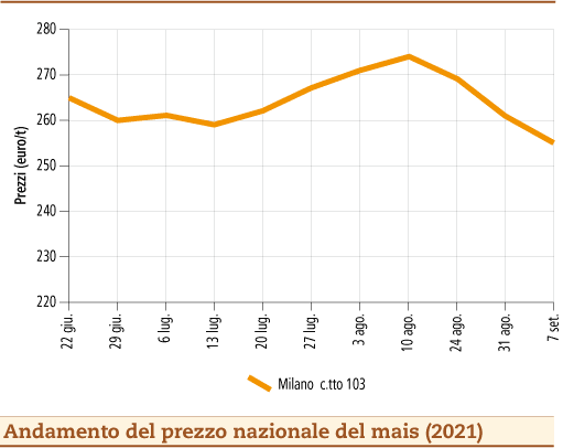 prezzi mais settembre 2021 lunedì 13