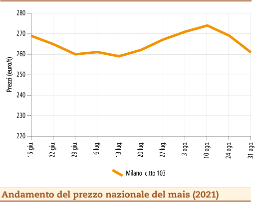 prezzi mais settembre 2021 lunedì 6