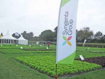 Syngenta Grootebroek Olanda