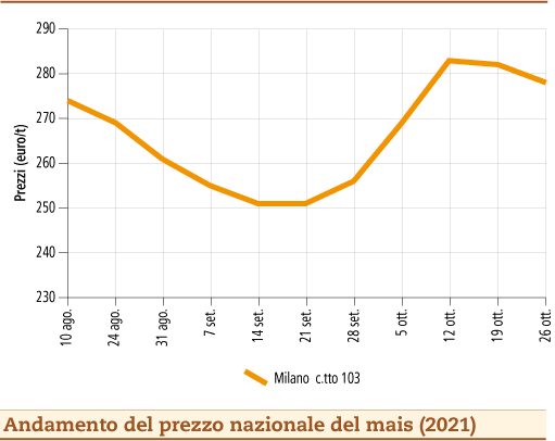 prezzi mais novembre 2021 martedì 2