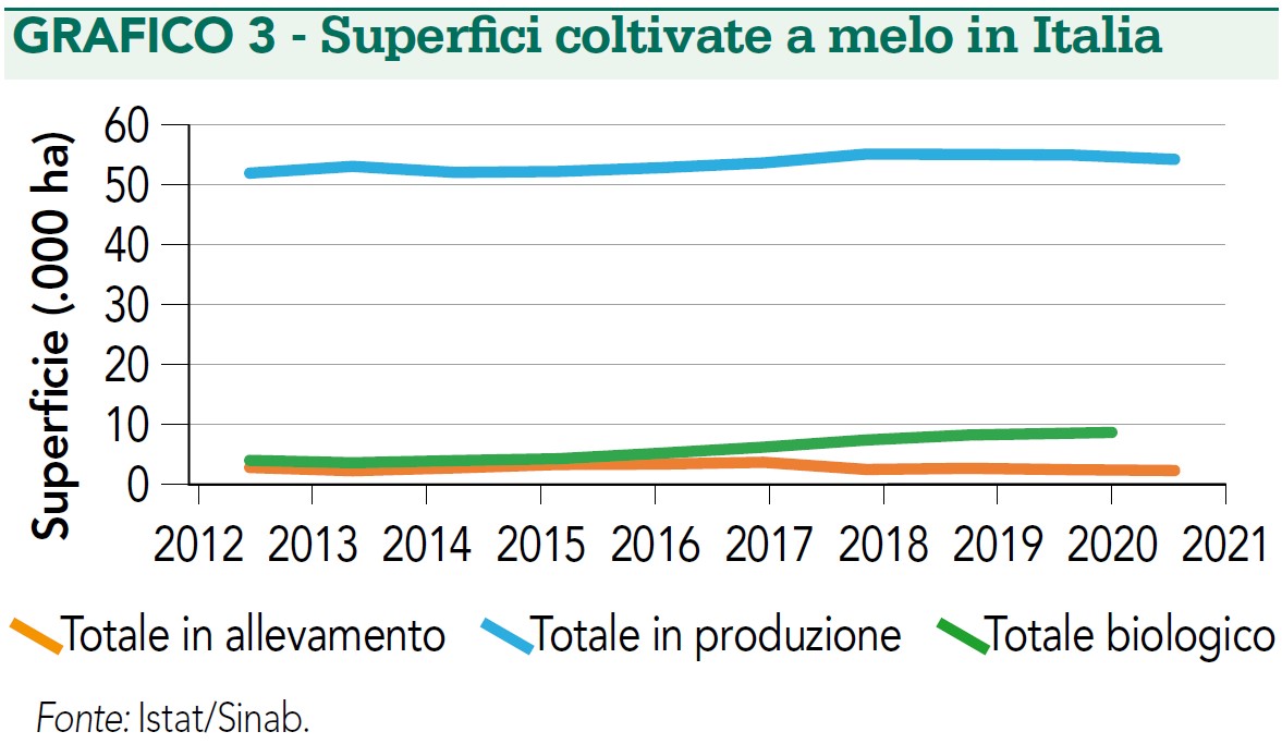 superfici coltivate a melo in Italia