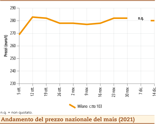 prezzi mais dicembre 2021 lunedì 20