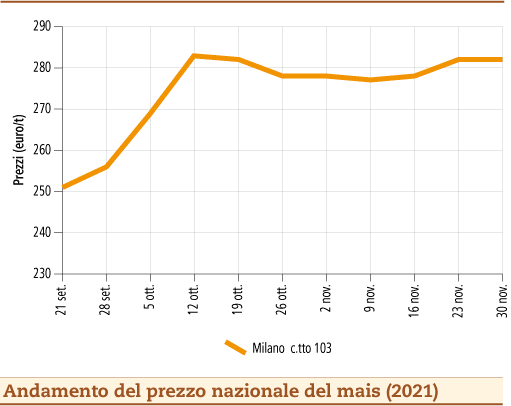 prezzi mais dicembre 2021 lunedì 6