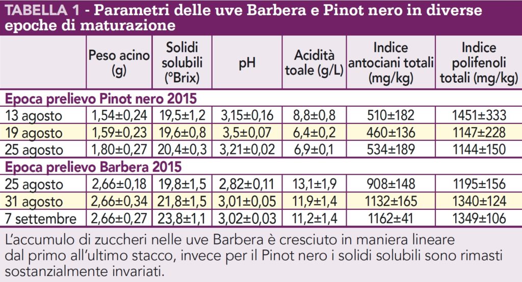 Parametri delle uve Barbera e Pinot nero in diverse epoche di maturazione