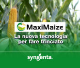 MaxiMaize Syngenta cover
