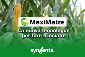 MaxiMaize Syngenta cover