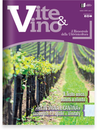 Vite&Vino