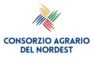 Logo Consorzio Agrario Nord Est