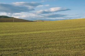 colline Basilicata