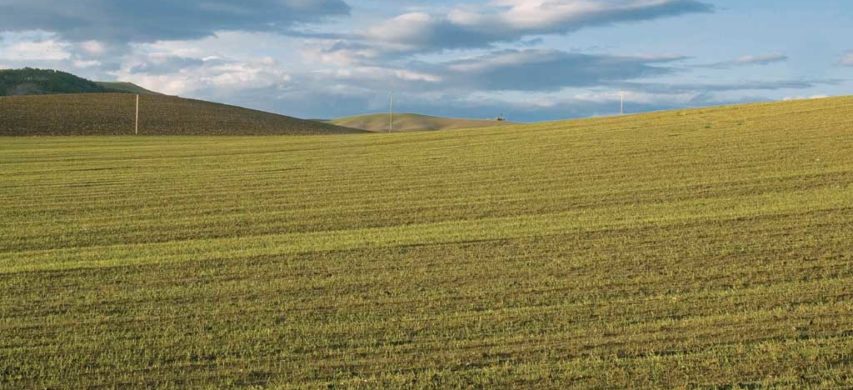 colline Basilicata