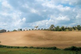 Terreno di collina