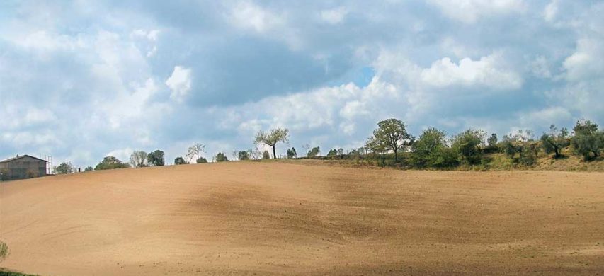 Terreno di collina