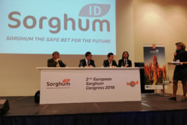 Congresso europeo sul sorgo 2018