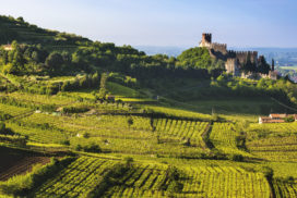 vigneti Soave