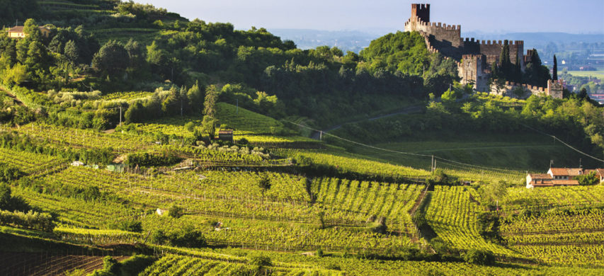 vigneti Soave