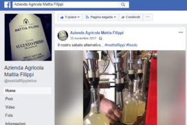 Esempio di marketing su Facebook per aziende vitivinicole