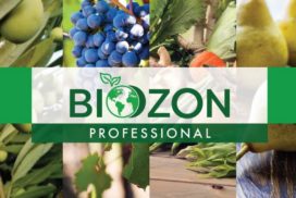 Biozon