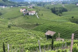 colline prosecco