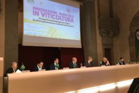 Un momento del Forum nazionale viticolo organizzato da Cia - Agricoltori con l’Accademia dei Georgofi li