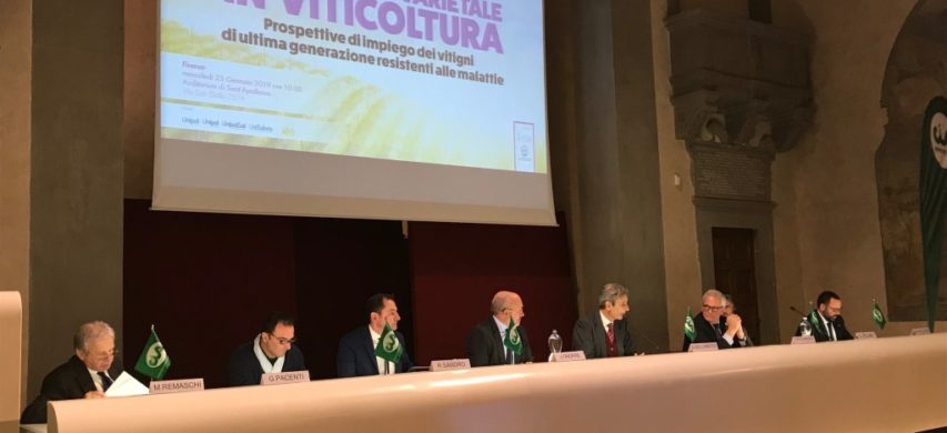 Un momento del Forum nazionale viticolo organizzato da Cia - Agricoltori con l’Accademia dei Georgofi li