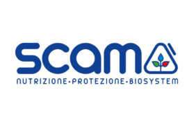 Scam logo