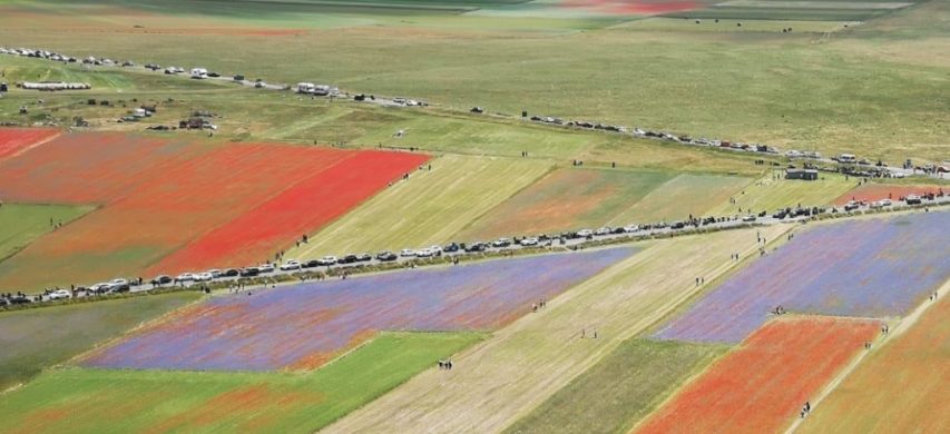 lenticchia castelluccio