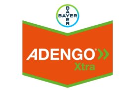 logo Adengo Xtra Bayer