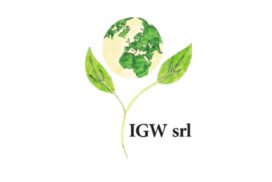 logo IGW