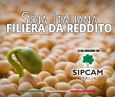 Soia italiana - filiera da reddito