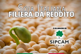 Soia italiana - filiera da reddito