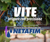 Vite, irrigare con precisione - Progetto in collaborazione con Netafim