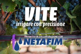 Vite, irrigare con precisione - Progetto in collaborazione con Netafim