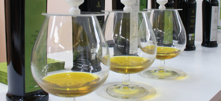 degustazione olio d'oliva