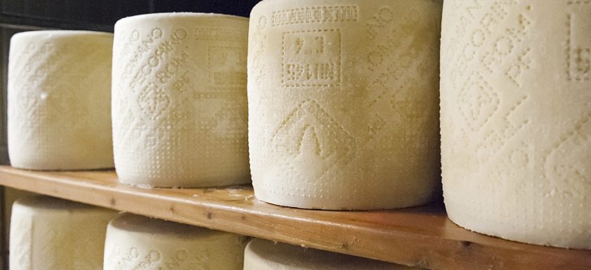 pecorino romano