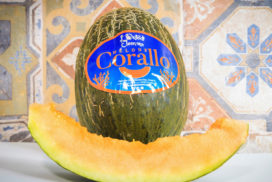 Melone Corallo