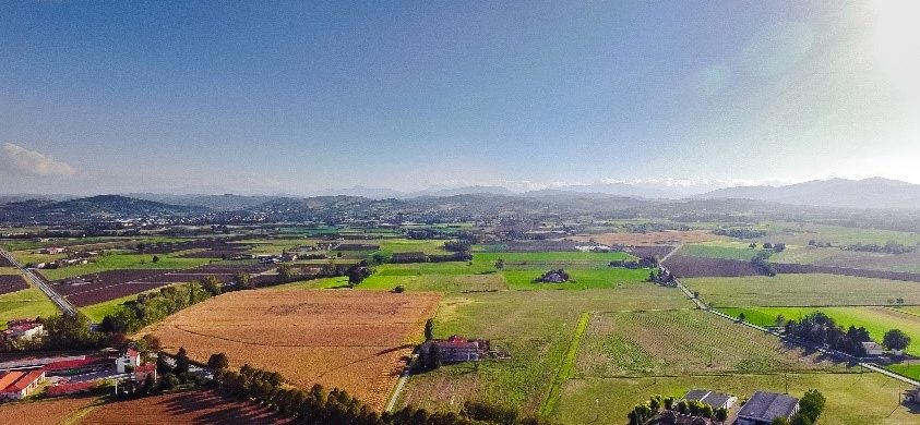 Area agricola ad altra biodiversità