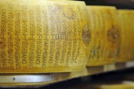 parmigiano reggiano