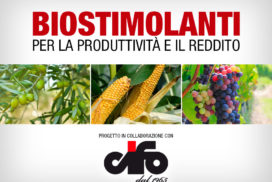 Biostimolanti - progetto con CIFO